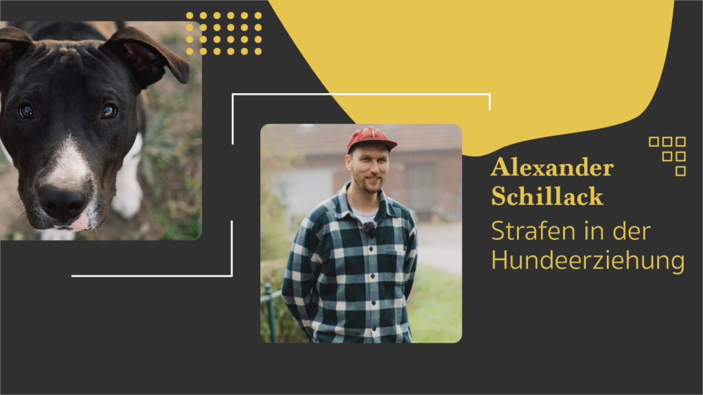 Alexander Schillack: Strafen in der Hundeerziehung