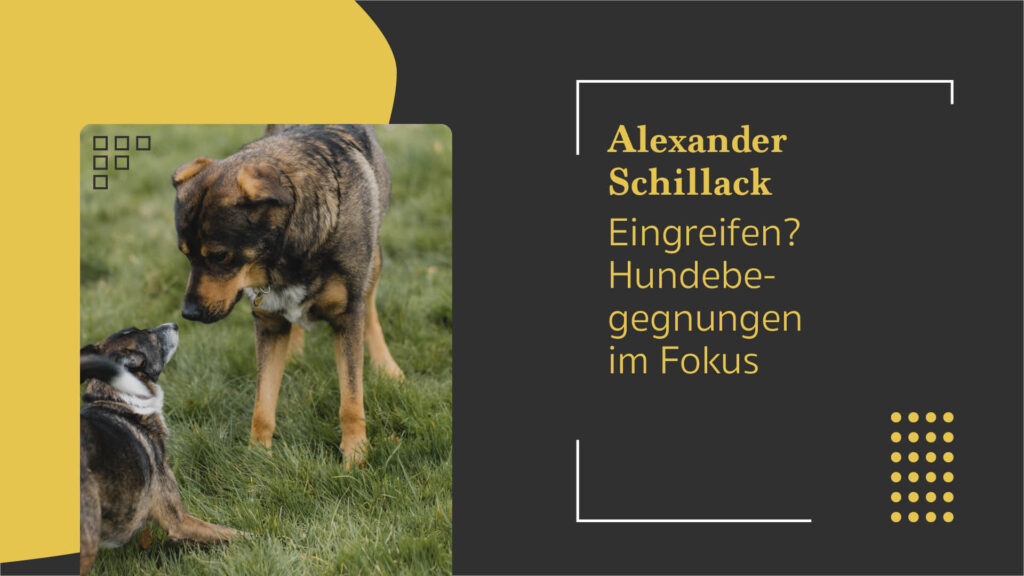 Alexander Schillack: Eingreifen? Hundebegegnungen im Fokus