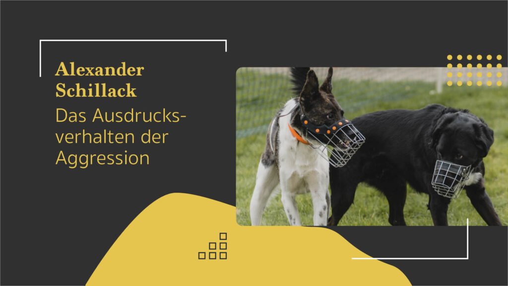 Alexander Schillack: Das Ausdrucksverhalten der Aggression