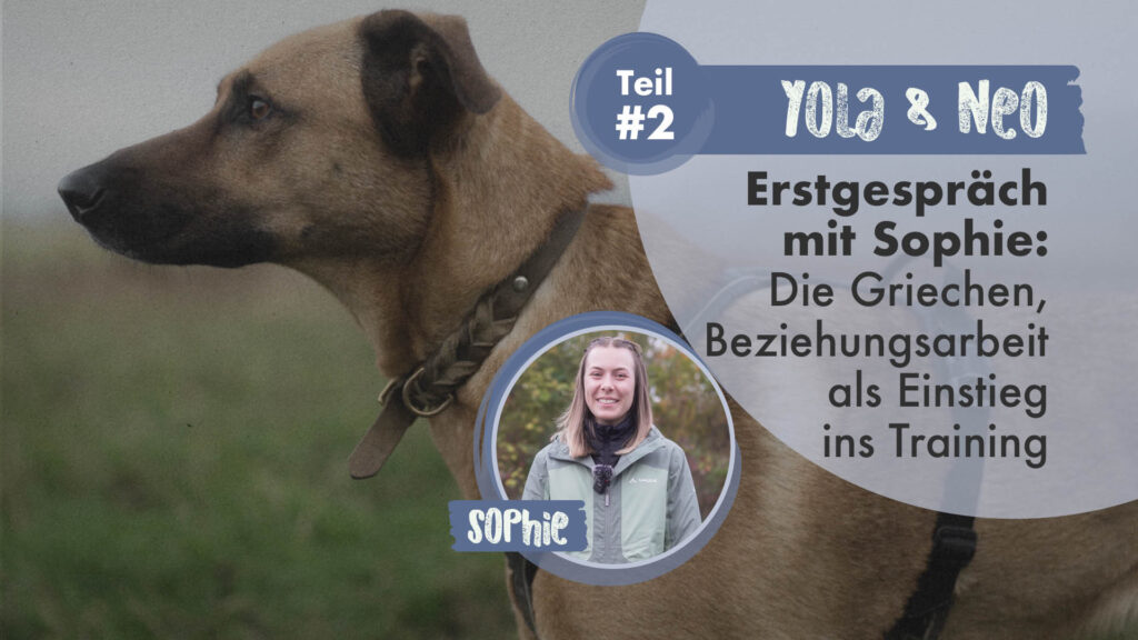Yola & Neo Teil 2 | Erstgespräch mit Sophie: Die Griechen, Beziehungsarbeit als Einstieg ins Training