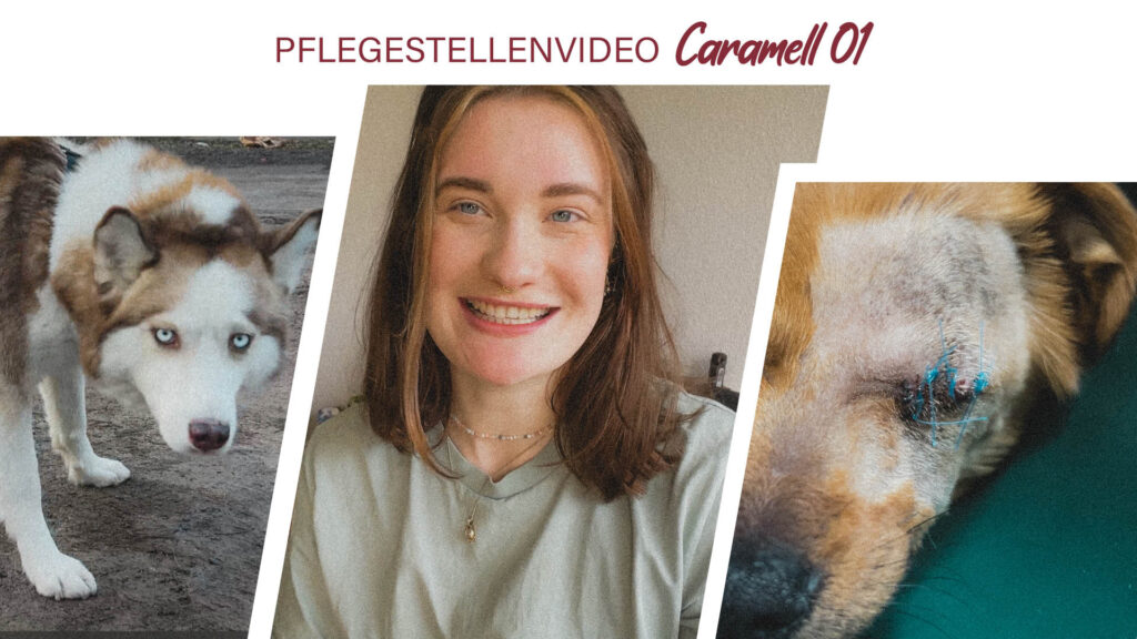 Pflegestellenvideo Caramell 01