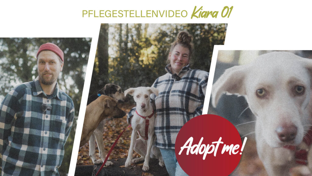 Pflegestellenvideo Kiara 01