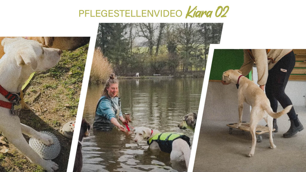 Pflegestellenvideo Kiara 02