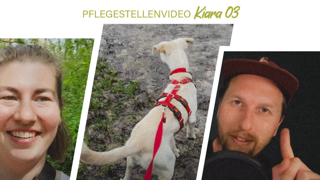 Pflegestellenvideo Kiara 03