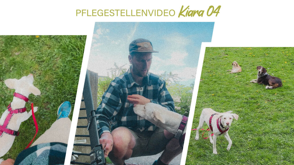Pflegestellenvideo Kiara 04