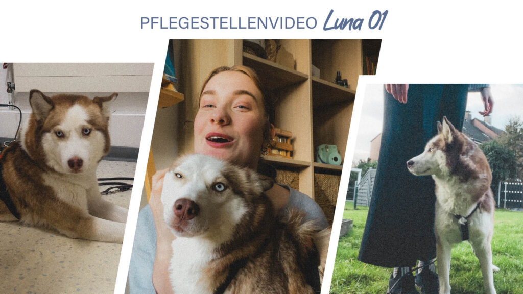 Pflegestellenvideo Luna 01