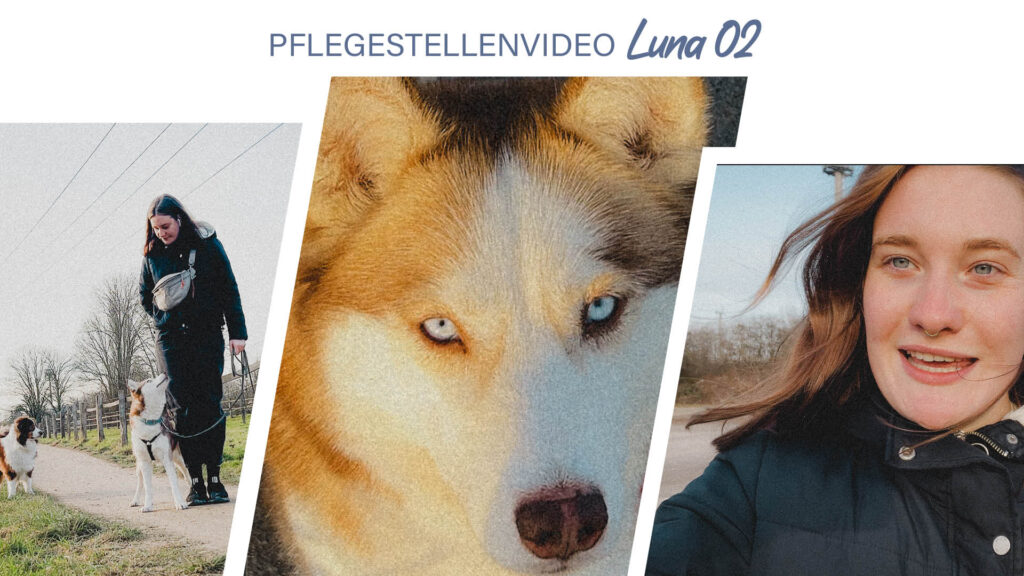 Pflegestellenvideo Luna 02