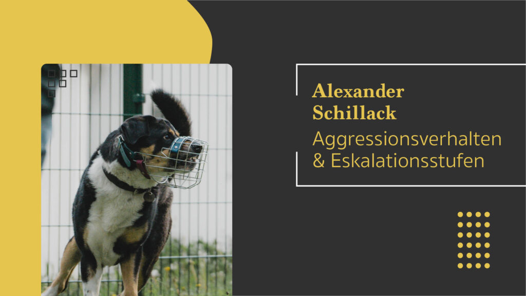 Alexander Schillack: Aggressionsverhalten und Eskalationsstufen