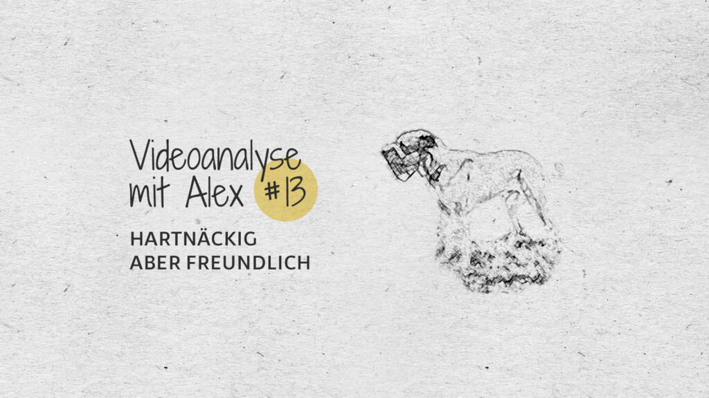 #13 Videoanalyse mit Alex: Hartnäckig aber freundlich