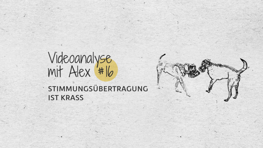 #16 Videoanalyse mit Alex: Stimmungsübertragung ist krass