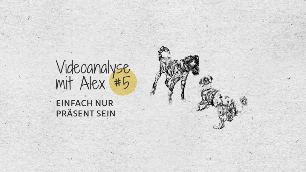 #5 Videoanalyse mit Alex: Einfach nur Präsent sein