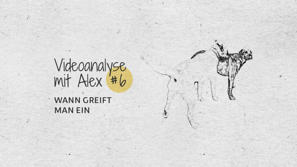 #6 Videoanalyse mit Alex: Wann greift man ein