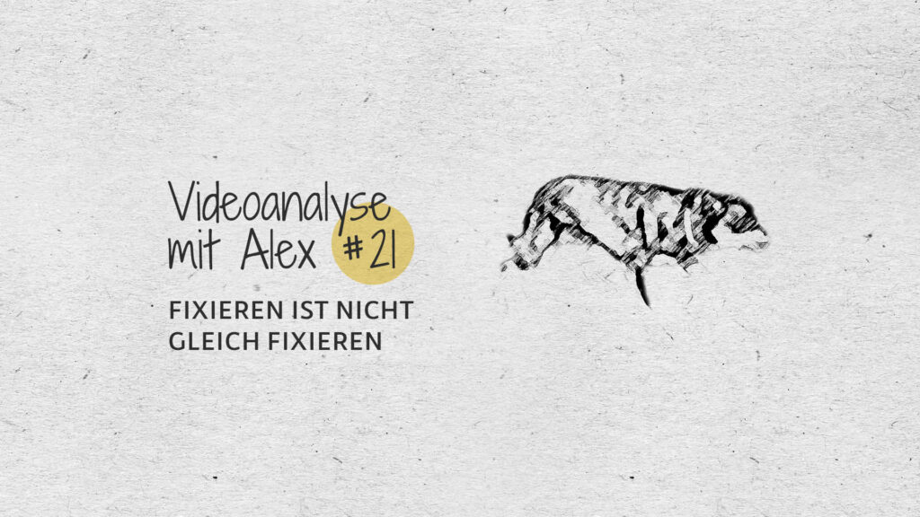 #21 Videoanalyse mit Alex: Fixieren ist nicht gleich fixieren