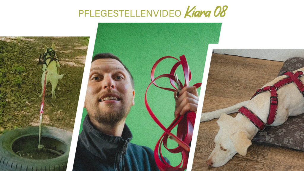 Pflegestellenvideo Kiara 08