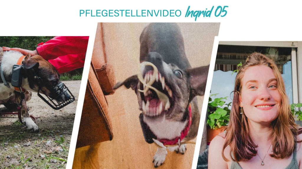 Pflegestellenvideo Ingrid 05