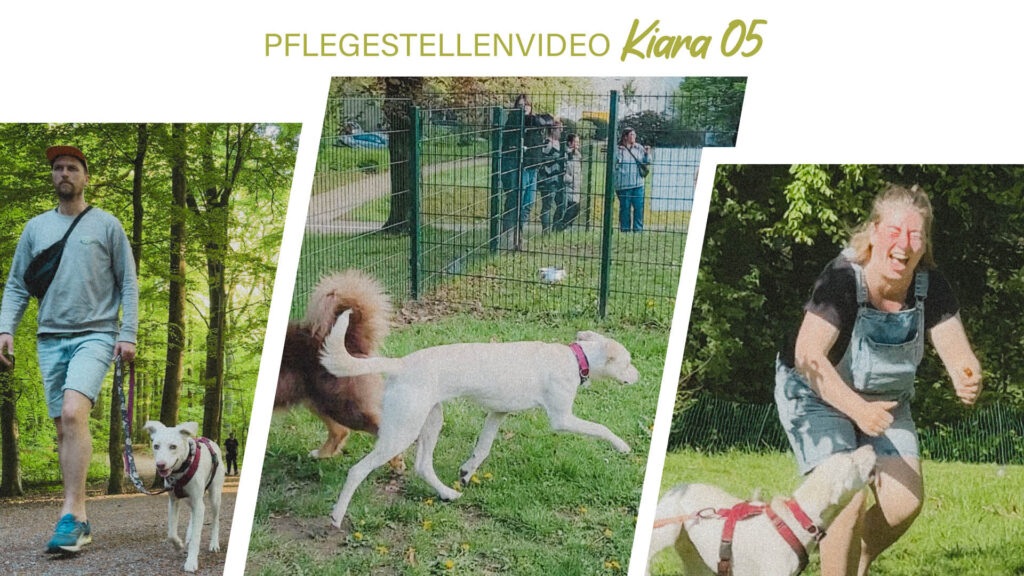 Pflegestellenvideo Kiara 05