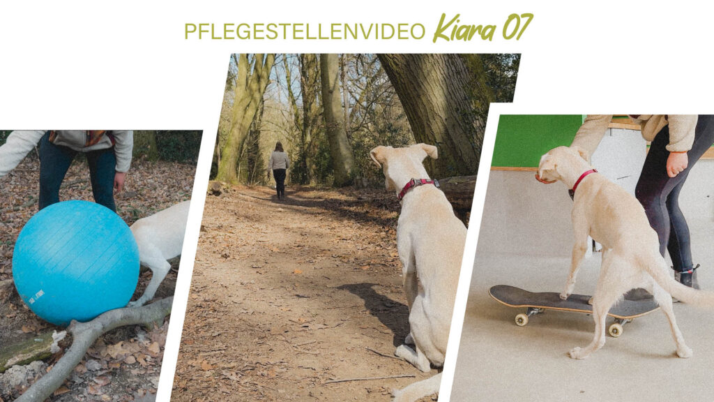Pflegestellenvideo Kiara 07