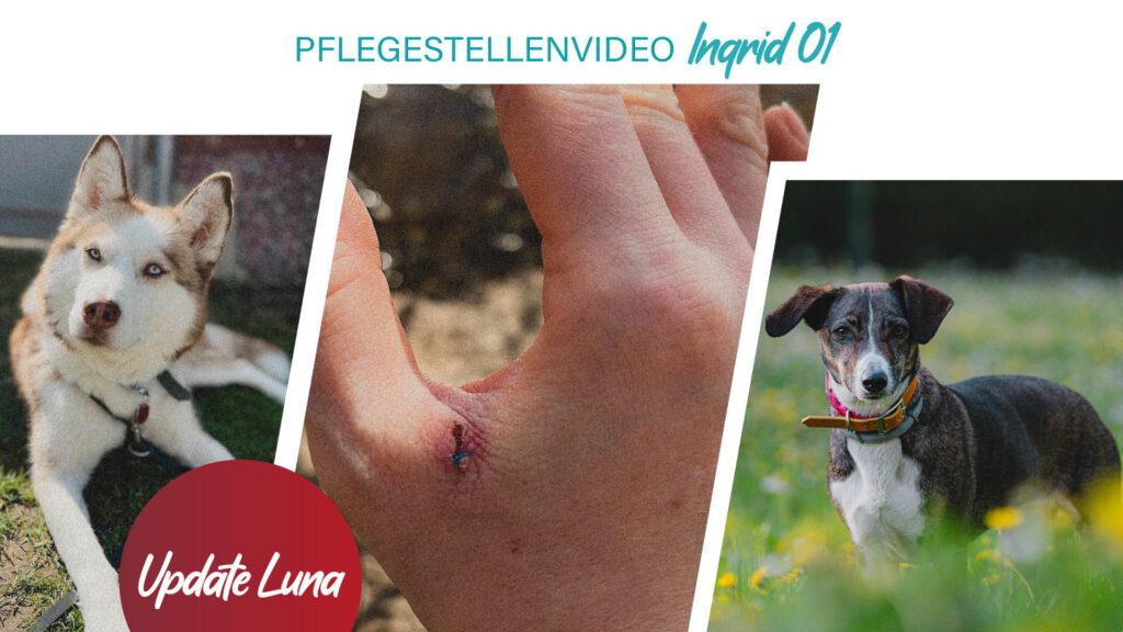 Pflegestellenvideo Ingrid 01