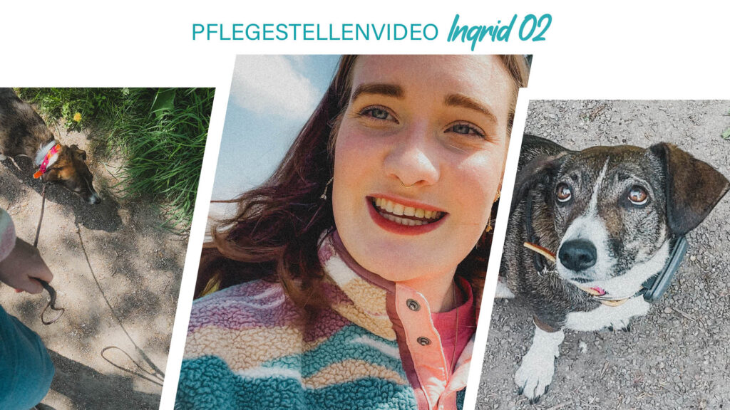 Pflegestellenvideo Ingrid 02