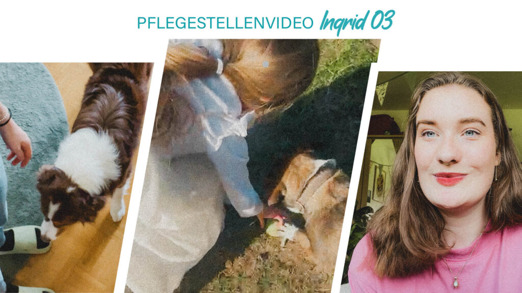 Pflegestellenvideo Ingrid 03