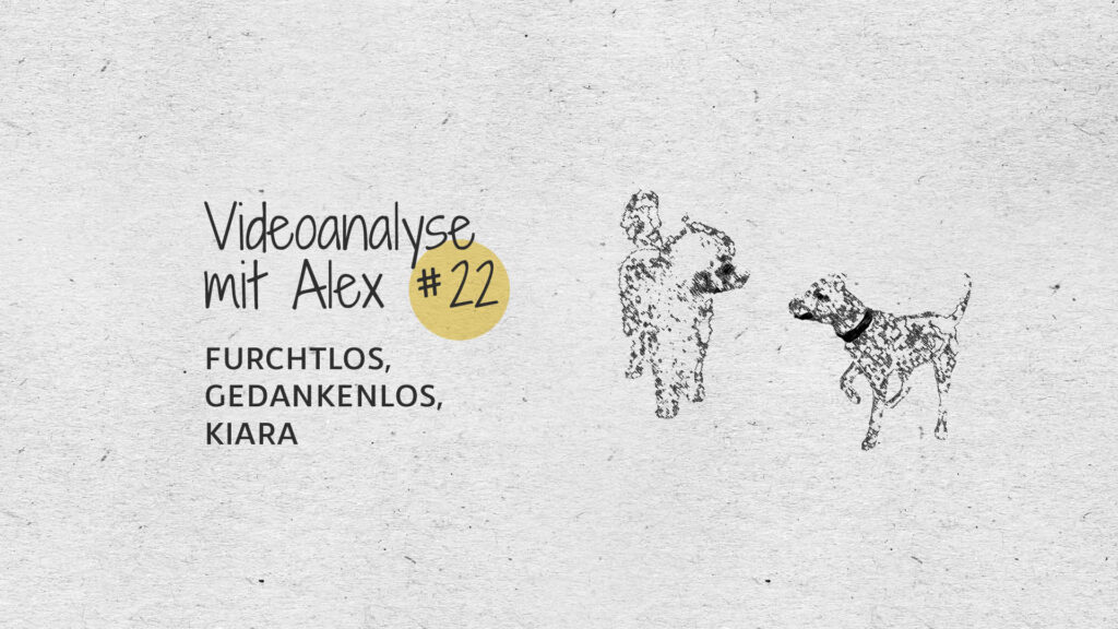 #22 Videoanalyse mit Alex: Furchtlos, Gedankenlos, Kiara