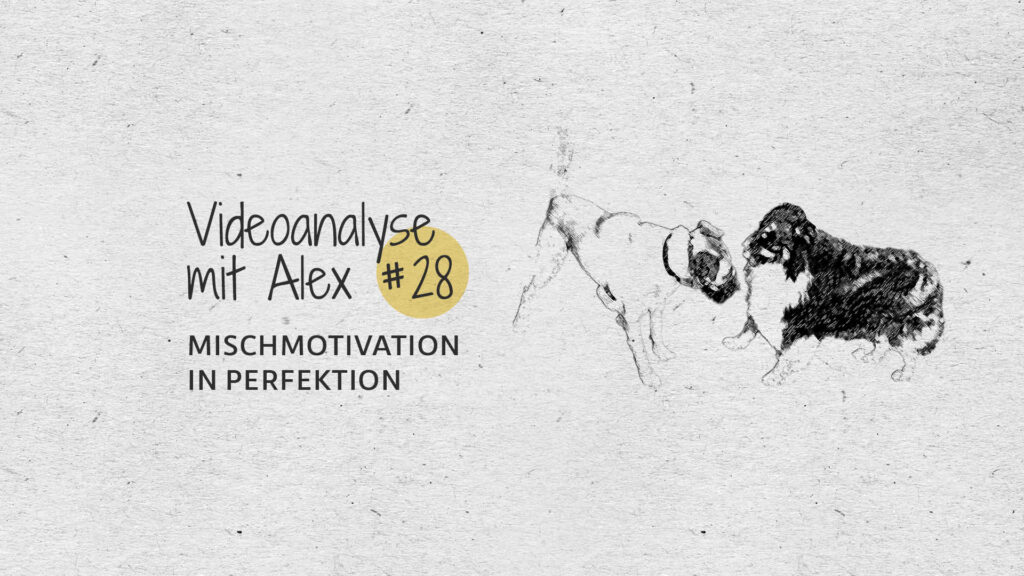 #28 Videoanalyse mit Alex: Mischmotivation in Perfektion