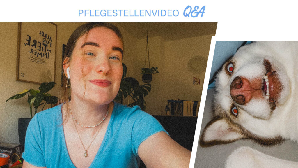Pflegestellenvideo Q&A