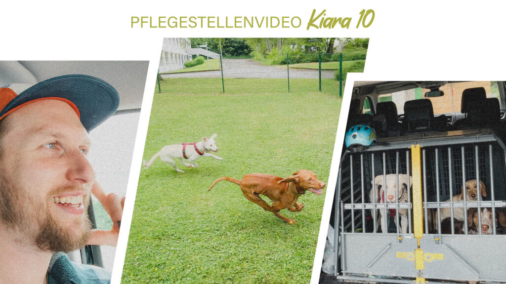 Pflegestellenvideo Kiara 10