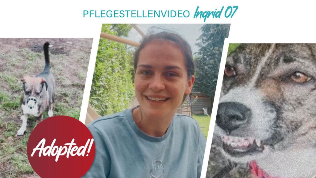 Pflegestellenvideo Ingrid 07