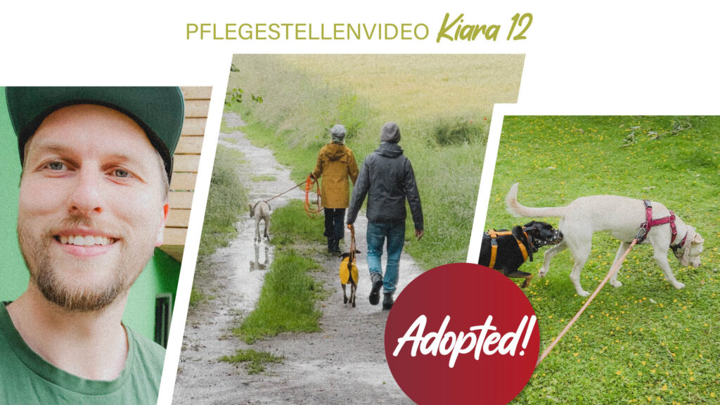 Pflegestellenvideo Kiara 12