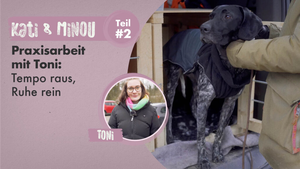 Kati & Minou Teil 2 | Praxisarbeit mit Toni: Tempo raus, Ruhe rein