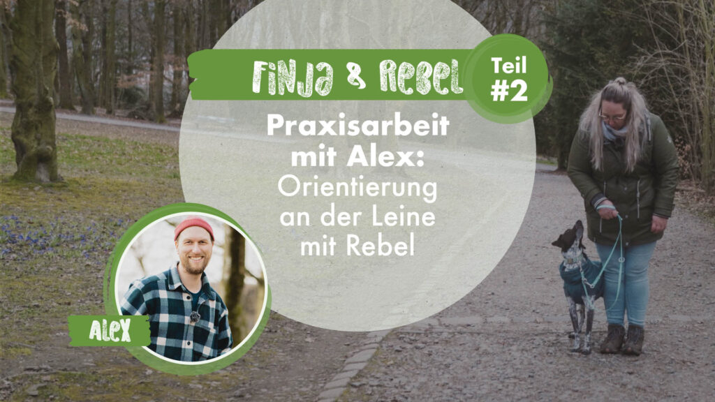 Nadine & Rebel und Finja Teil 2 | Praxisarbeit mit Alex: Orientierung an der Leine mit Rebel