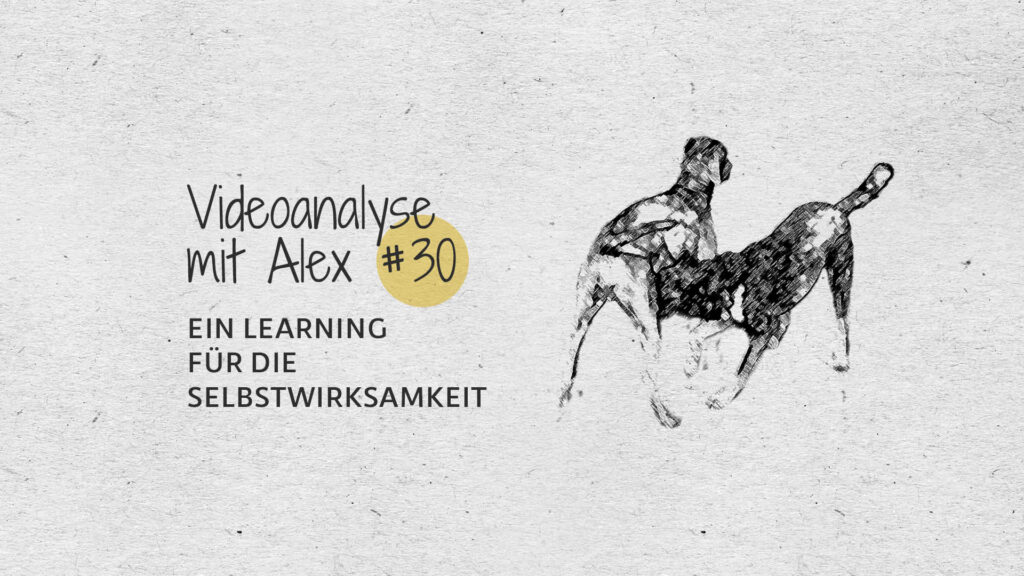 #30 Videoanalyse mit Alex: Ein Learning für die Selbstwirksamkeit
