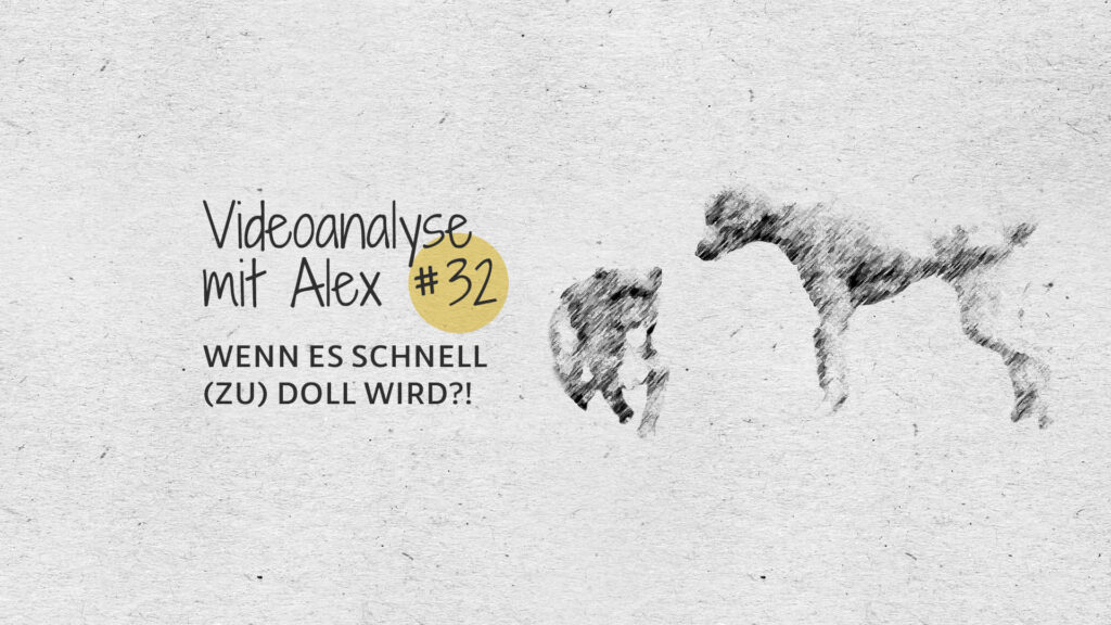 #32 Videoanalyse mit Alex: Wenn es schnell (zu) doll wird?!