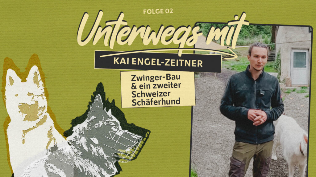 Unterwegs mit Kai – Zwinger-Bau und ein zweiter Schweizer Schäferhund