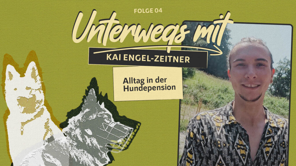 Unterwegs mit Kai –  Alltag in der Hundepension