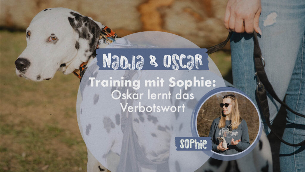 Nadja & Oscar | Training mit Sophie: Oskar lernt das Verbotswort