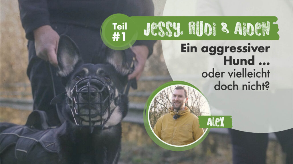 Jessy, Rudi & Aiden Teil 1 | Ein aggressiver Hund…oder vielleicht doch nicht?