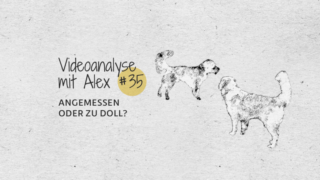 #35 Videoanalyse mit Alex: Angemessen oder zu doll?