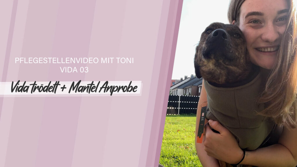 Pflegestellenvideo Vida 03