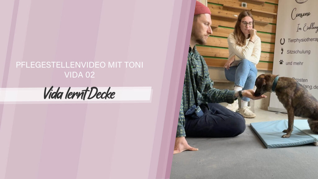 Pflegestellenvideo Vida 02