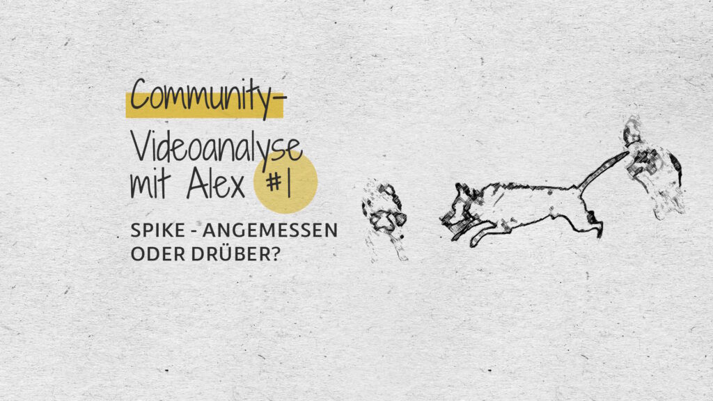 #1 Community-Videoanalyse mit Alex: Spike – angemessen oder drüber?