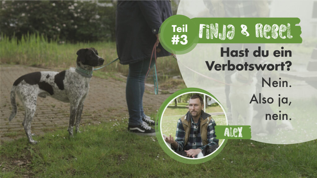 Nadine & Rebel und Finja Teil 3 | Hast du ein Verbotswort? Nein. Also ja, nein.