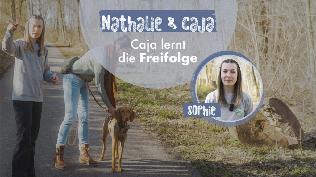 Nathalie & Caja | Caja lernt die Freifolge