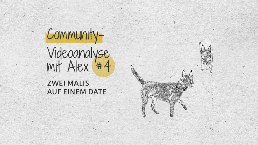 #4 Community-Videoanalyse mit Alex: Zwei Malis auf einem Date