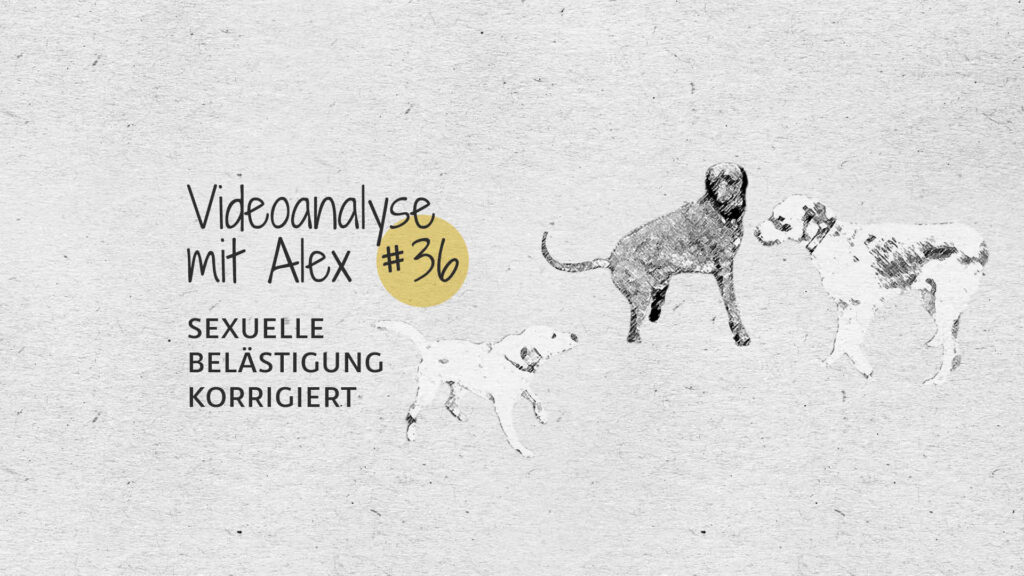 #36 Videoanalyse mit Alex: Sexuelle Belästigung korrigiert