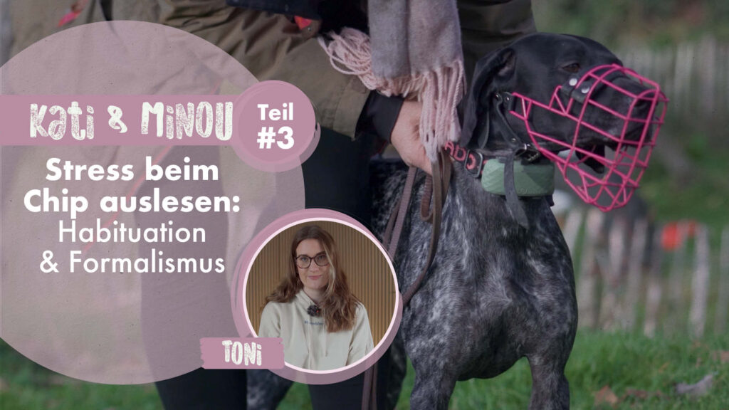 Kati & Minou Teil 3 | Stress beim Chip auslesen: Habituation und Formalismus
