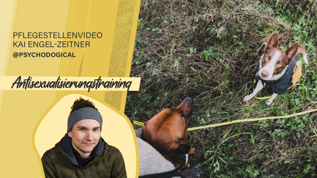 Pflegestellenvideo Kai Engel-Zeitner – Antisexualisierungstraining