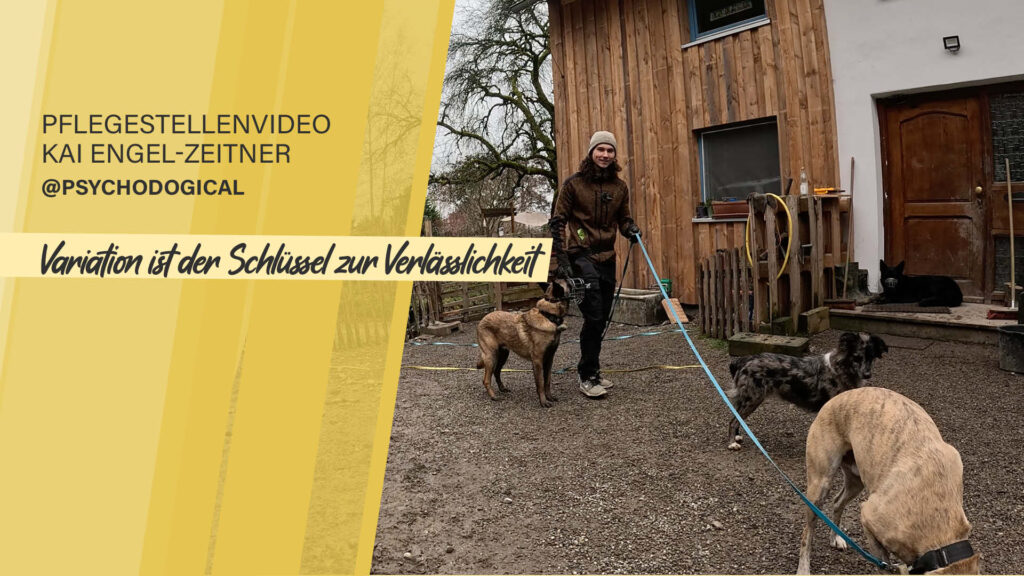 Pflegestellenvideo Kai Engel-Zeitner – Variation ist der Schlüssel zur Verlässlichkeit