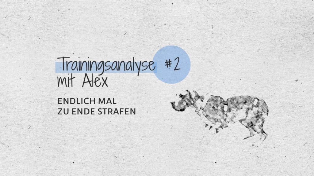 #2 Trainingsanalyse – Endlich mal zu Ende strafen